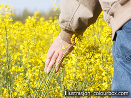 Mann som står i blomstereng